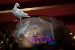 Cardinal Sales
