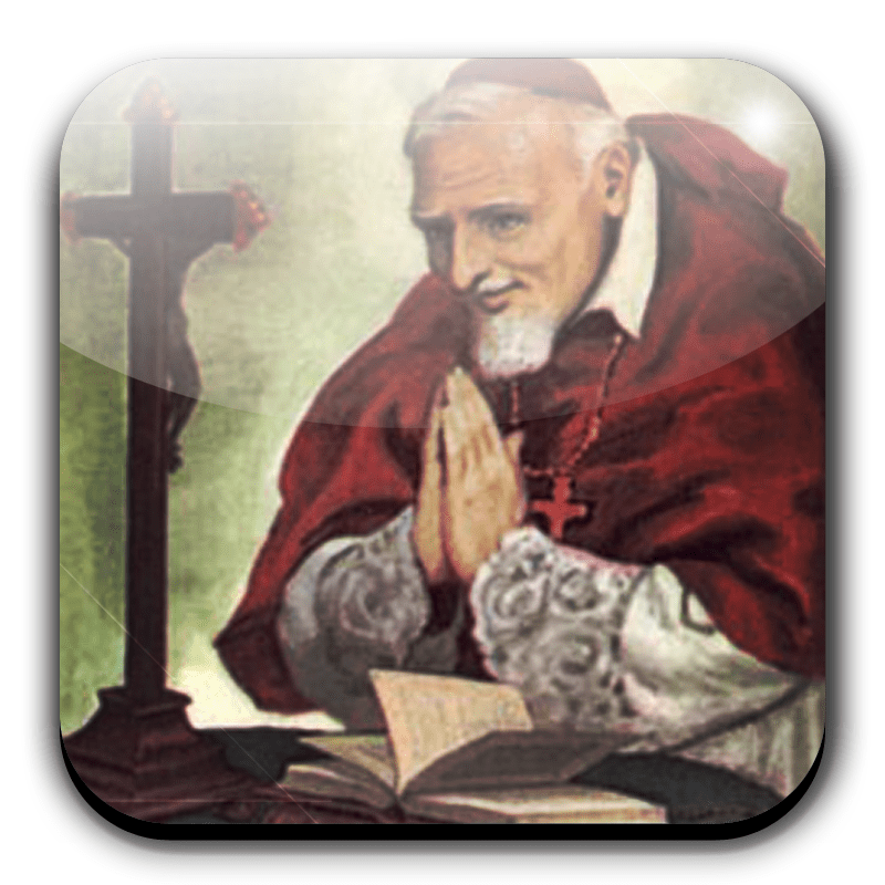 an overview of the alphonsus saints life in italy October 30 today is the feast day of saint alphonsus rodriquez. an overview of the alphonsus saints life in italy October 30 today is the feast day of saint alphonsus rodriquez.